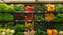 <b>每日优鲜分析报告：快速发展的电商新贵</b>