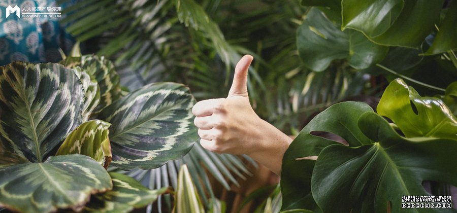 从自然生态系统中,互联网可以学到什么?