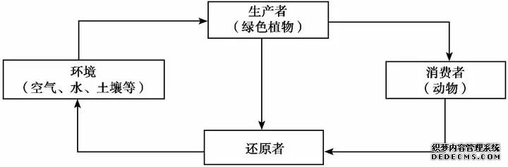 从自然生态系统中,互联网可以学到什么?