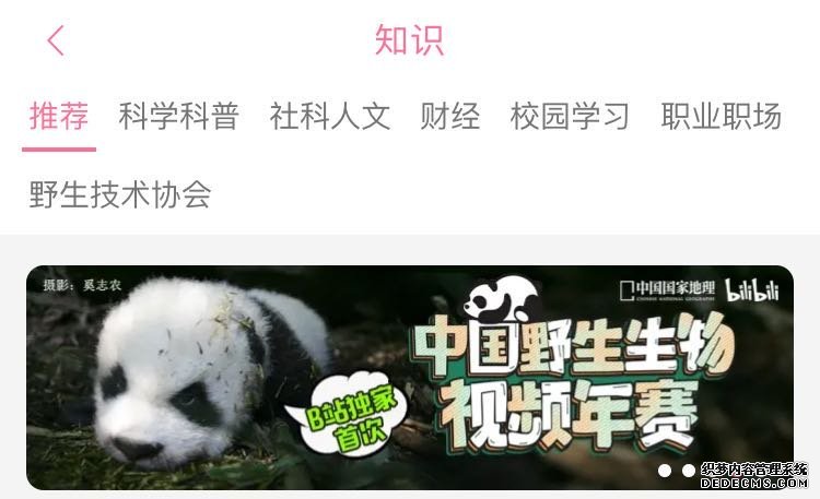 知识视频围剿战，B站凭什么胜出？