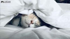 <b>云蹦迪、云睡觉，虚火一场？</b>