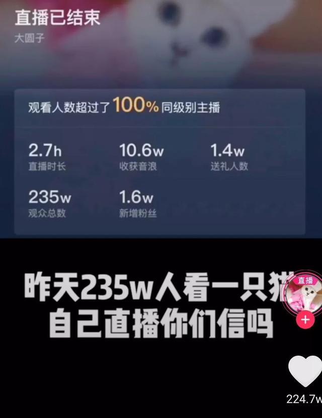 云蹦迪、云睡觉,虚火一场?