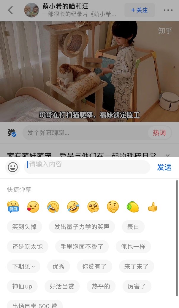 知乎,从2011到2021