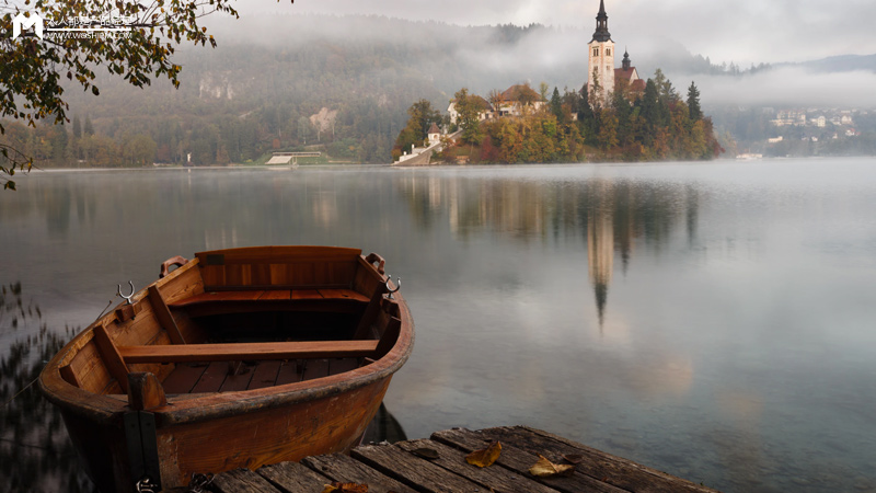 直播，仅仅是社交电商的避风港