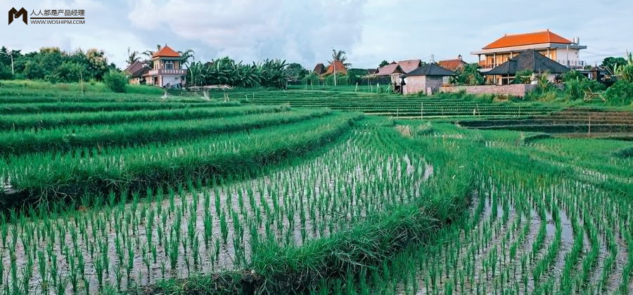 大企业做农业，是看中农业蓝海，还是消费升级