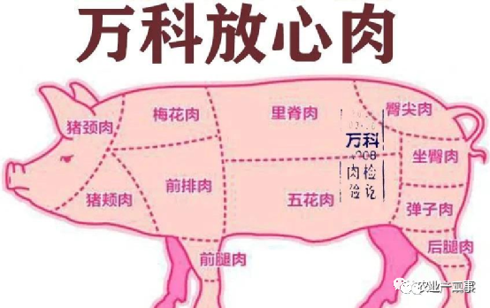 大企业做农业，是看中农业蓝海，还是消费升级