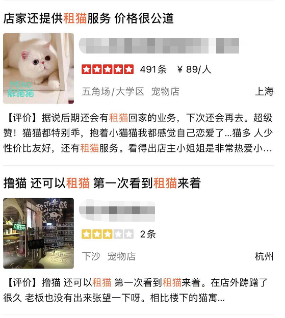 猫生不自由,宠物打工中 猫生不自由,宠物打工中