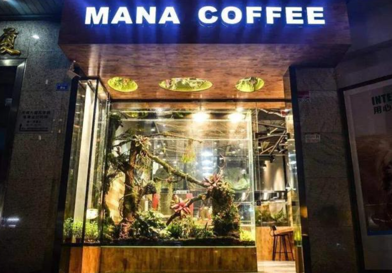 猫生不自由,宠物打工中 猫生不自由,宠物打工中