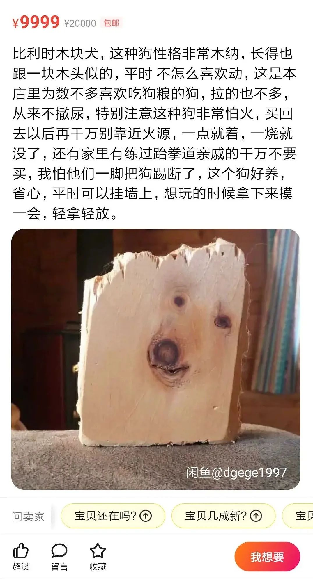 闲鱼,一个量产魔幻现实主义作家的地方