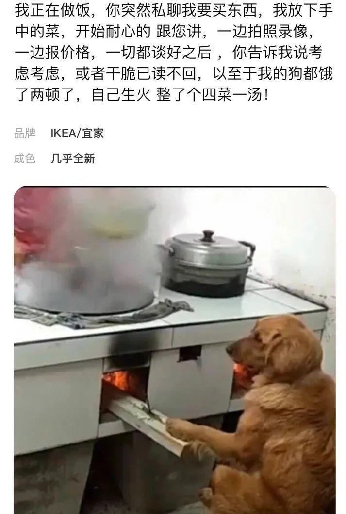 闲鱼,一个量产魔幻现实主义作家的地方