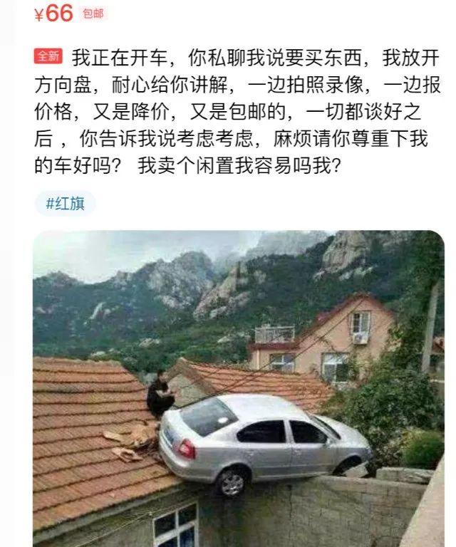 闲鱼,一个量产魔幻现实主义作家的地方