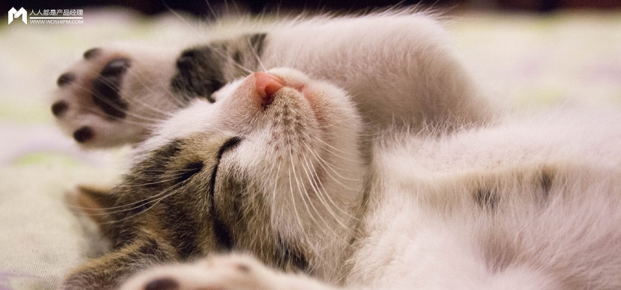 云医宠APP需求文档