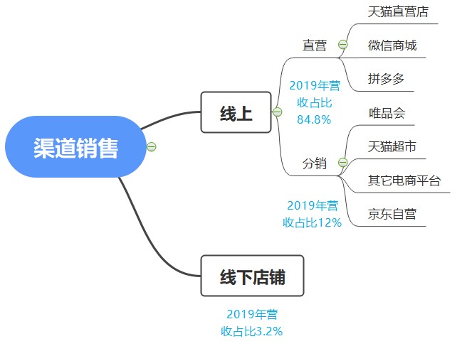 完美日记、花西子竞品分析报告
