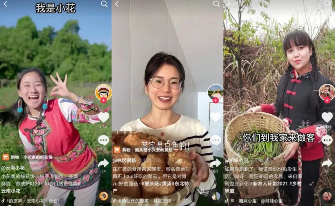 在抖音,返乡创业的年轻人们 在抖音,返乡创业的年轻人们