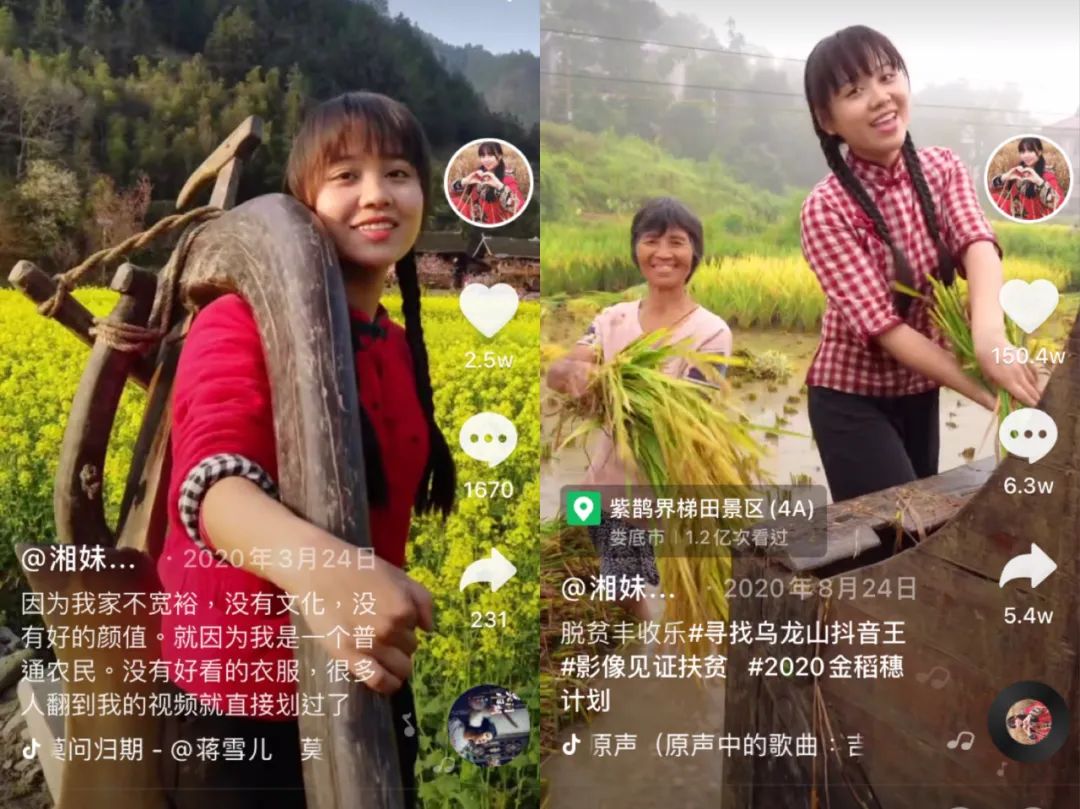 在抖音,返乡创业的年轻人们 在抖音,返乡创业的年轻人们