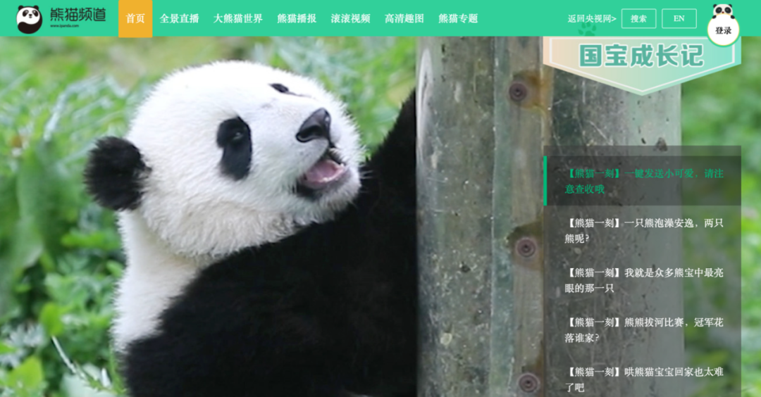 ​慢直播，为什么成为一个新的内容趋势