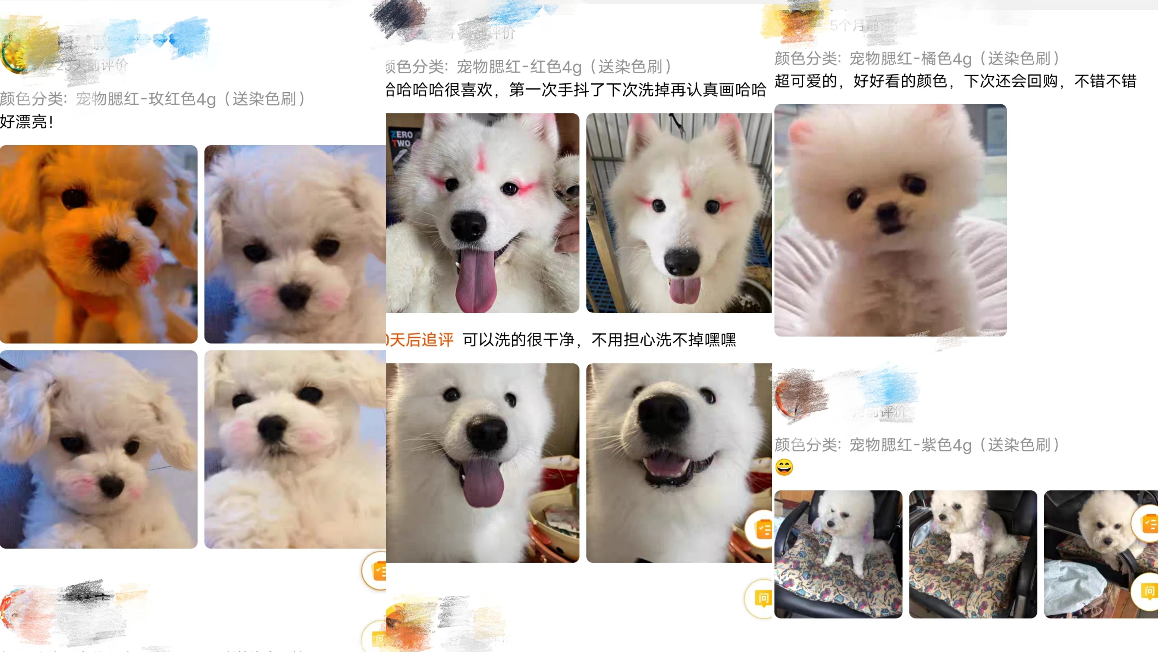 狗屁屁抹腮红，猫眼睛涂精华，宠物美妆你不懂