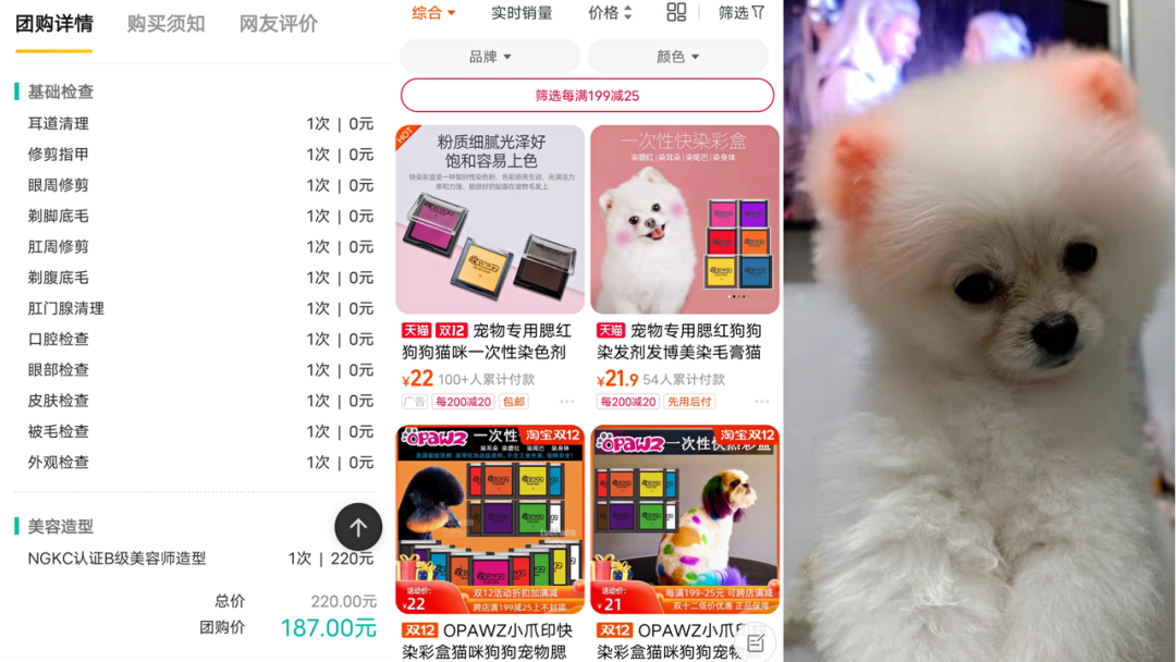 狗屁屁抹腮红，猫眼睛涂精华，宠物美妆你不懂