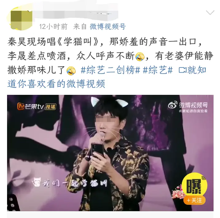 王心凌《爱你》爆火，网络神曲到底是如何炼成