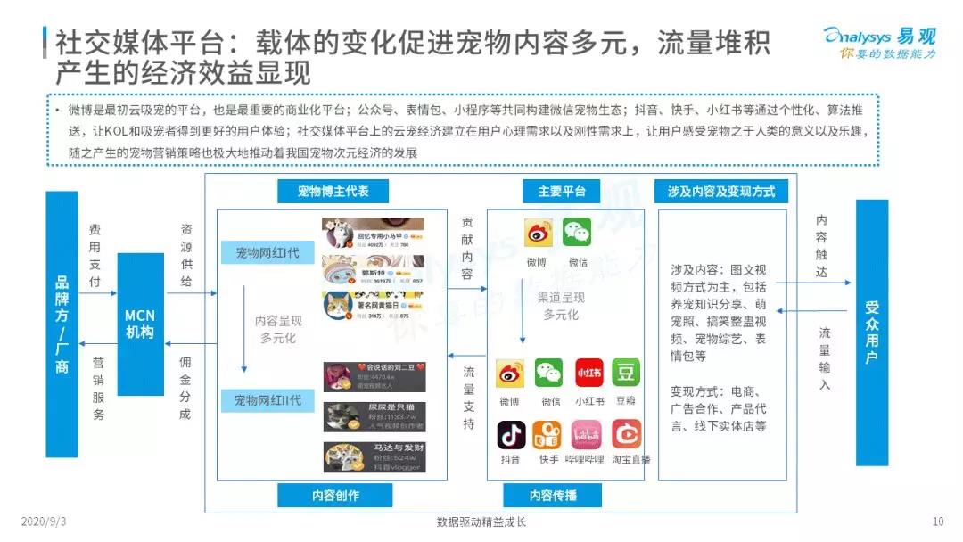 萌宠流量+粉丝经济强强联手