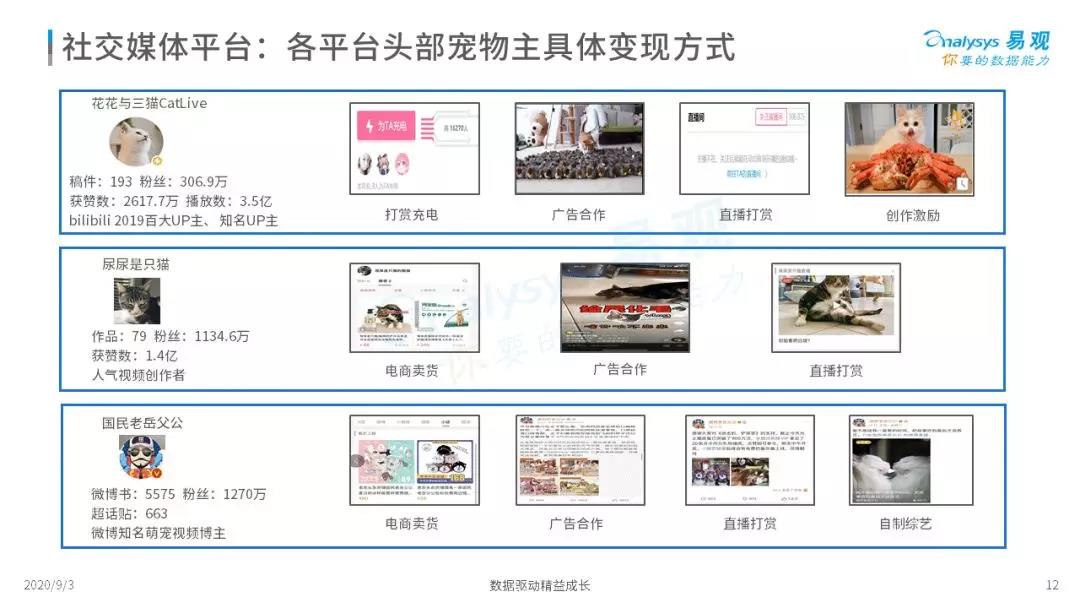萌宠流量+粉丝经济强强联手