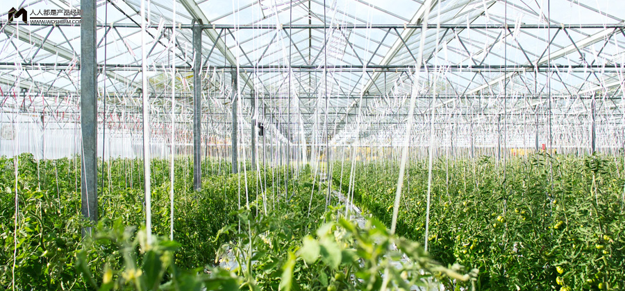 在我眼里：数字农业存在的问题有这些