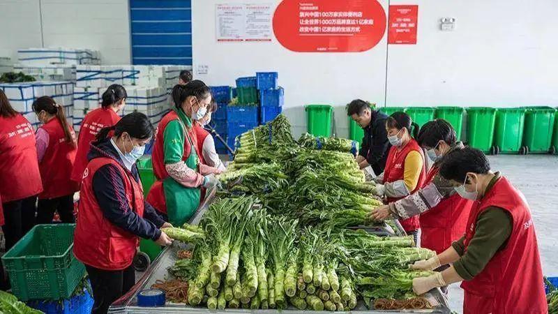 武汉百日,社区团购快进十年