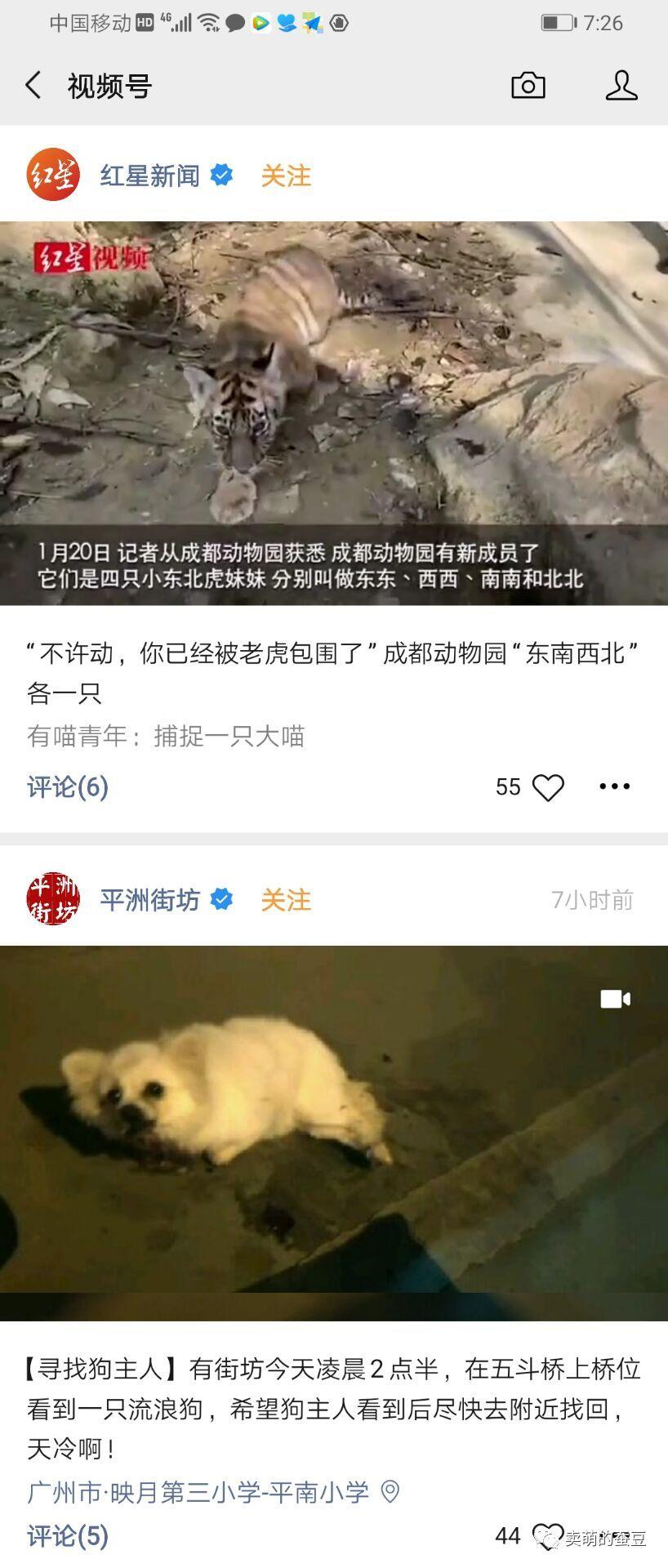 「微信视频号」详细版体验记录