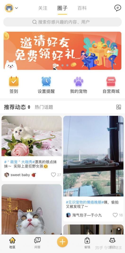 宠物行业发展现状分析:宠物app是新的红海吗?