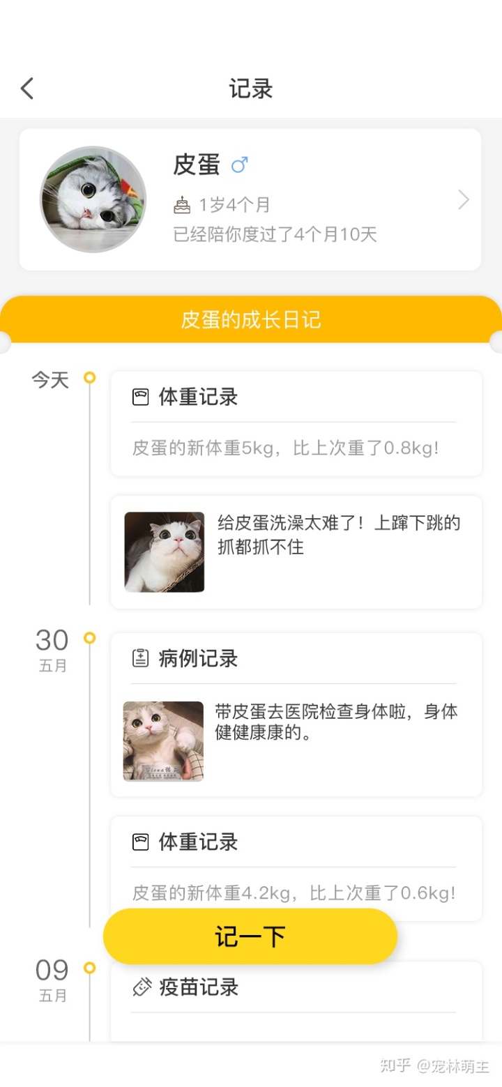宠物行业发展现状分析:宠物app是新的红海吗?