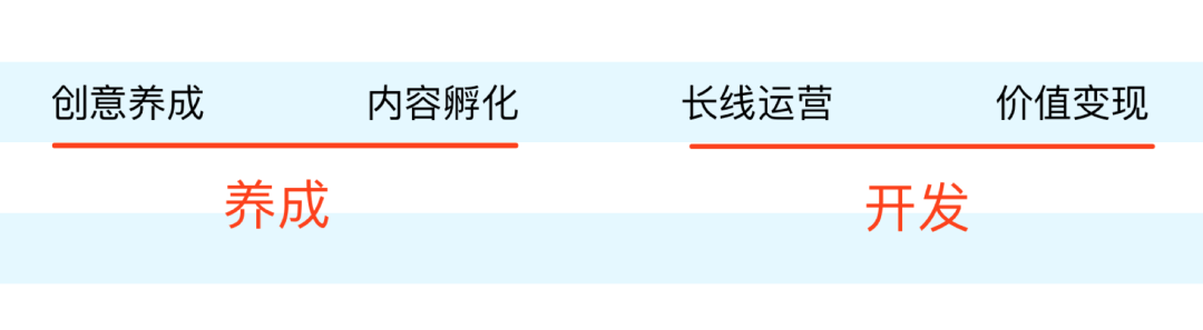 每个互联网公司都需要个IP“鱼塘”