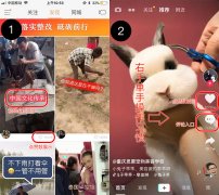 快手与抖音功能对比：观看体验和评论功能